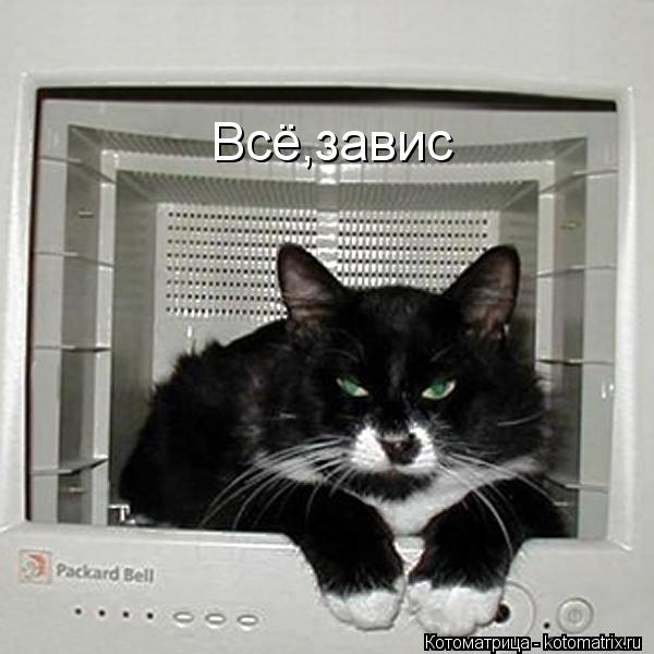Всё,завис... Котоматрица: Всё,завис