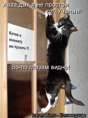 Аааа,дык я не простой кот. Учёный! Во-по глазам видно!... Котоматрица: Аааа,дык я не простой кот. Учёный! Во-по глазам видно!