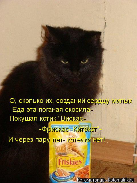 О, сколько их, созданий сердцу милых Еда эта поганая скосила- Покушал котик "Вискас- -Фрискас- Китекэ... Котоматрица: О, сколько их, созданий сердцу милых Еда эта поганая скосила- Покушал котик "Вискас- -Фрискас- Китекэт"- И через пару лет- котейки нет!