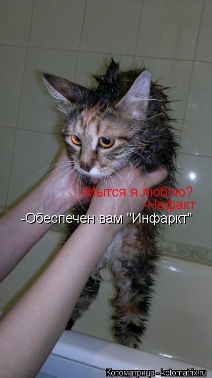 -Мытся я люблю? -Нефакт -Обеспечен вам "Инфаркт"... Котоматрица: -Мытся я люблю? -Нефакт -Обеспечен вам "Инфаркт"