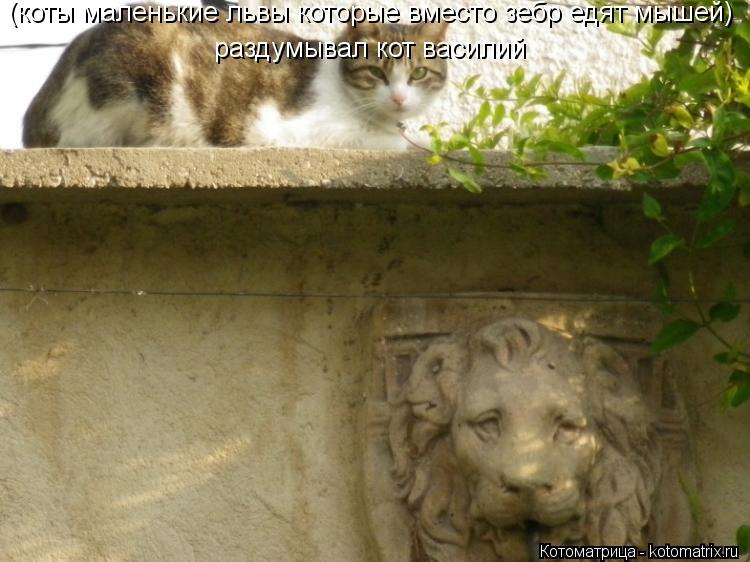 (коты маленькие львы которые вместо зебр едят мышей) раздумывал кот василий... Котоматрица: (коты маленькие львы которые вместо зебр едят мышей) раздумывал кот василий