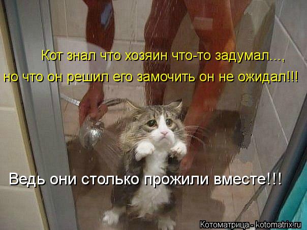 но что он решил его замочить он не ожидал!!! Ведь они столько прожили вместе!!! Кот знал что хозяин ч... Котоматрица: но что он решил его замочить он не ожидал!!! Ведь они столько прожили вместе!!! Кот знал что хозяин что-то задумал...,