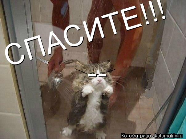 -- - ----- ----- СПАСИТЕ!!!... Котоматрица: -- - ----- ----- СПАСИТЕ!!!