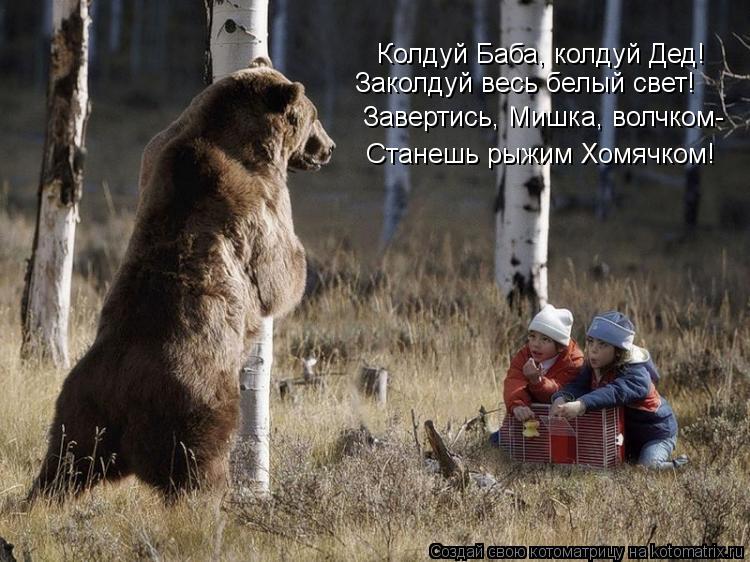 Колдуй Баба, колдуй Дед! Заколдуй весь белый свет! Завертись, Мишка, волчком- Станешь рыжим Хомячком!... Котоматрица: Колдуй Баба, колдуй Дед! Заколдуй весь белый свет! Завертись, Мишка, волчком- Станешь рыжим Хомячком!