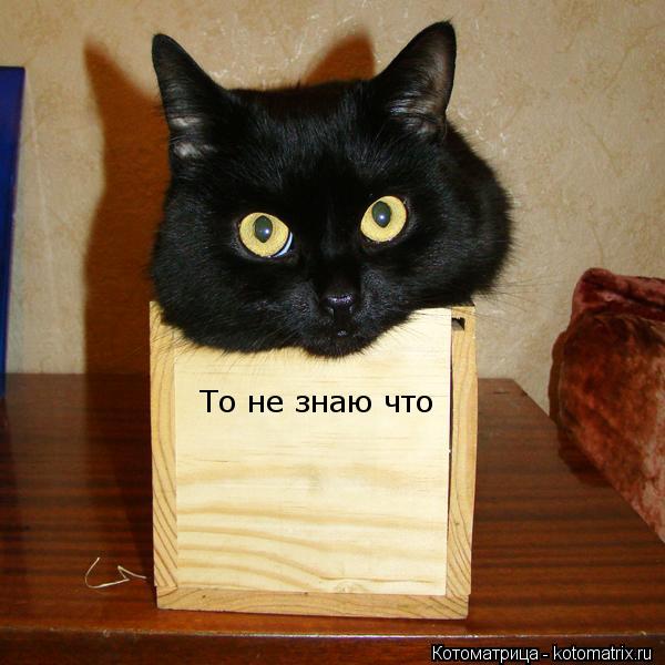 То не знаю что... Котоматрица: То не знаю что
