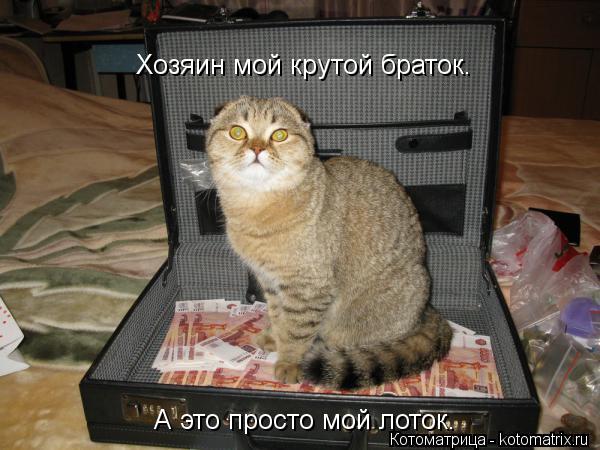 Хозяин мой крутой браток. А это просто мой лоток.... Котоматрица: Хозяин мой крутой браток. А это просто мой лоток.
