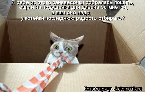 Я себе из этого занавесочки собралась пошить, еще и на подушечки для дивана останется, а вам оно надо... Котоматрица: Я себе из этого занавесочки собралась пошить, еще и на подушечки для дивана останется, а вам оно надо, у котейки последнюю радость отбирать?