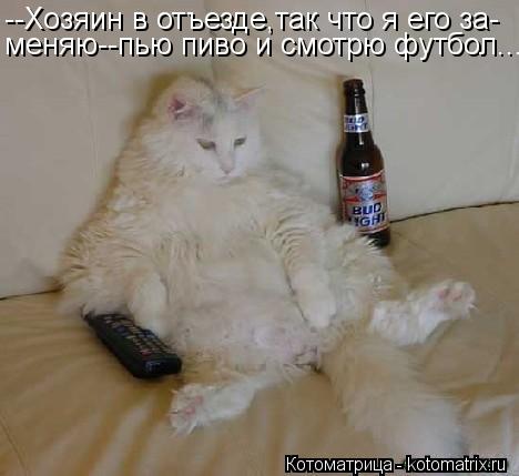 --Хозяин в отъезде,так что я его за- меняю--пью пиво и смотрю футбол...... Котоматрица: --Хозяин в отъезде,так что я его за- меняю--пью пиво и смотрю футбол...