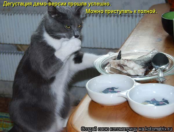 Дегустация демо-версии прошла успешно. Можно приступать к полной.... Котоматрица: Дегустация демо-версии прошла успешно. Можно приступать к полной.