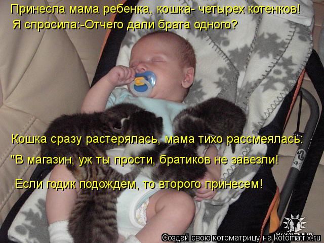 Принесла мама ребенка, кошка- четырех котенков! Я спросила:-Отчего дали брата одного? Кошка сразу рас... Котоматрица: Принесла мама ребенка, кошка- четырех котенков! Я спросила:-Отчего дали брата одного? Кошка сразу растерялась, мама тихо рассмеялась: "В мага