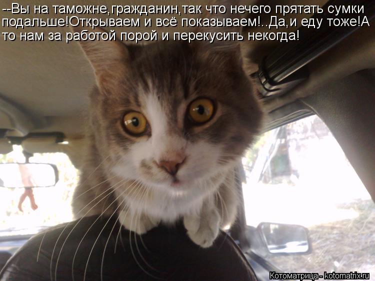 --Вы на таможне,гражданин,так что нечего прятать сумки подальше!Открываем и всё показываем!..Да,и еду... Котоматрица: --Вы на таможне,гражданин,так что нечего прятать сумки подальше!Открываем и всё показываем!..Да,и еду тоже!А то нам за работой порой и перекус