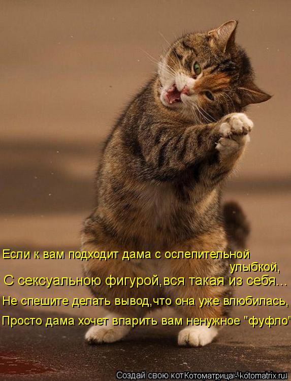 С сексуальною фигурой,вся такая из себя... Не спешите делать вывод,что она уже влюбилась, Если к вам ... Котоматрица: С сексуальною фигурой,вся такая из себя... Не спешите делать вывод,что она уже влюбилась, Если к вам подходит дама c ослепительной улыбкой, Пр
