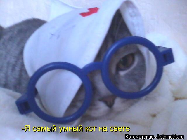 -Я самый умный кот на свете... Котоматрица: -Я самый умный кот на свете