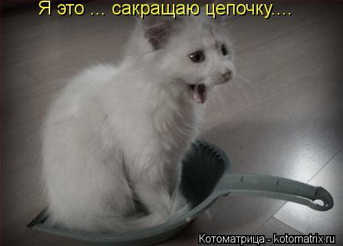 Я это ... сакращаю цепочку....... Котоматрица: Я это ... сакращаю цепочку....