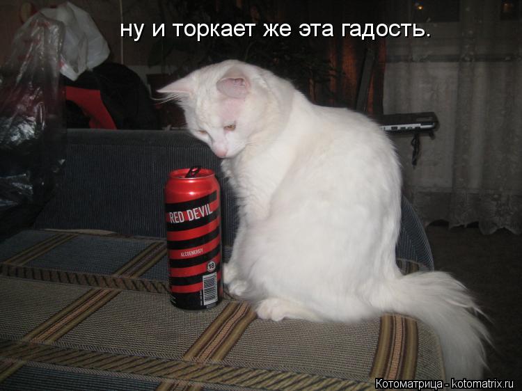 ну и торкает же эта гадость.... Котоматрица: ну и торкает же эта гадость.