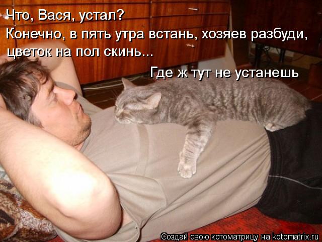 Конечно, в пять утра встань, хозяев разбуди, цветок на пол скинь... Что, Вася, устал? Где ж тут не у... Котоматрица: Конечно, в пять утра встань, хозяев разбуди, цветок на пол скинь... Что, Вася, устал? Где ж тут не устанешь