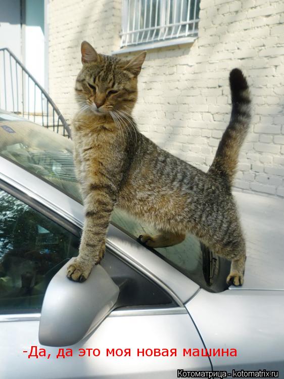 -Да, да это моя новая машина... Котоматрица: -Да, да это моя новая машина