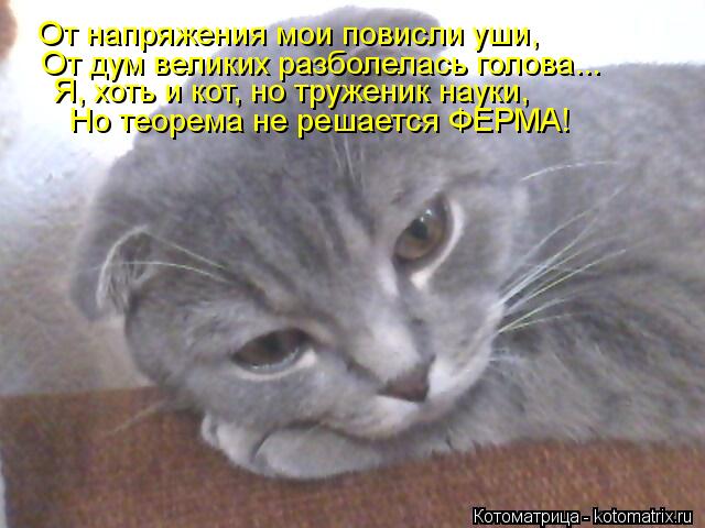 От напряжения мои повисли уши, От дум великих разболелась голова... Я, хоть и кот, но труженик науки,... Котоматрица: От напряжения мои повисли уши, От дум великих разболелась голова... Я, хоть и кот, но труженик науки, Но теорема не решается ФЕРМА!