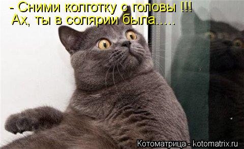 - Сними колготку с головы !!! Ах, ты в солярии была........ Котоматрица: - Сними колготку с головы !!! Ах, ты в солярии была.....