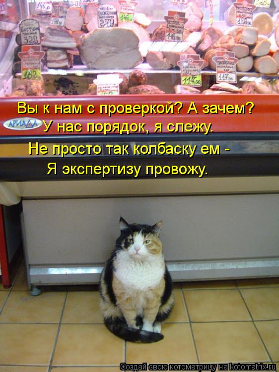 Вы к нам с проверкой? А зачем? У нас порядок, я слежу. Не просто так колбаску ем - Я экспертизу пров... Котоматрица: Вы к нам с проверкой? А зачем? У нас порядок, я слежу. Не просто так колбаску ем - Я экспертизу провожу.