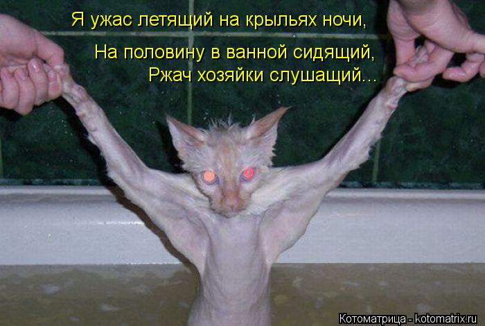 Я ужас летящий на крыльях ночи, На половину в ванной сидящий, Ржач хозяйки слушащий...... Котоматрица: Я ужас летящий на крыльях ночи, На половину в ванной сидящий, Ржач хозяйки слушащий...