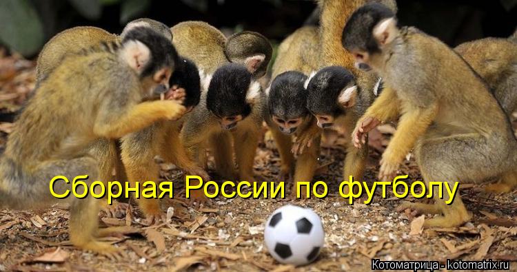 Котоматрица: Сборная России по футболу