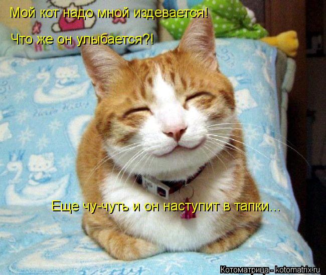 Мой кот надо мной издевается! Что же он улыбается?! Еще чу-чуть и он наступит в тапки...... Котоматрица: Мой кот надо мной издевается! Что же он улыбается?! Еще чу-чуть и он наступит в тапки...