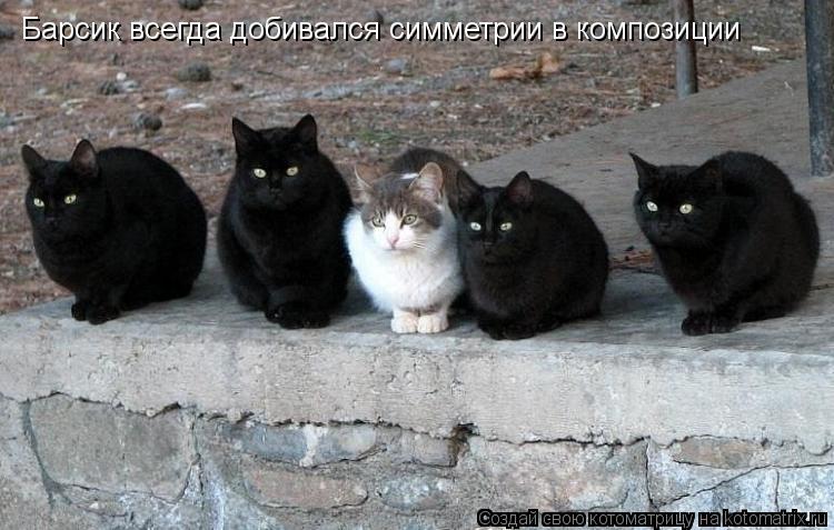 Барсик всегда добивался симметрии в композиции... Котоматрица: Барсик всегда добивался симметрии в композиции