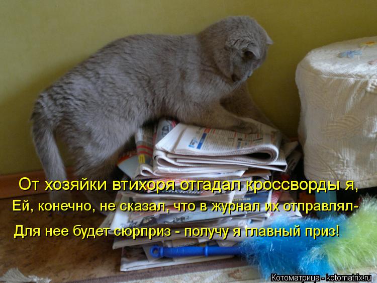 От хозяйки втихоря отгадал кроссворды я, Ей, конечно, не сказал, что в журнал их отправлял- Для нее б... Котоматрица: От хозяйки втихоря отгадал кроссворды я, Ей, конечно, не сказал, что в журнал их отправлял- Для нее будет сюрприз - получу я главный приз!