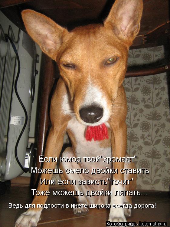 Если юмор твой"хромает" Можешь смело двойки ставить Или если зависть"точит" Тоже можешь двойки ляпать... Котоматрица: Если юмор твой"хромает" Можешь смело двойки ставить Или если зависть"точит" Тоже можешь двойки ляпать... Ведь для подлости в инете широка все