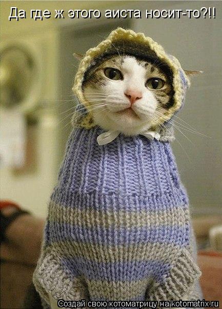 Да где ж этого аиста носит-то?!!... Котоматрица: Да где ж этого аиста носит-то?!!