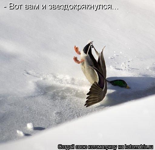 - Вот вам и звездокрякнулся...... Котоматрица: - Вот вам и звездокрякнулся...