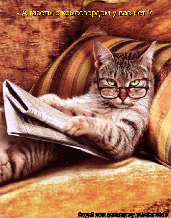 - А газеты с крыссвордом у вас нет ?... Котоматрица: - А газеты с крыссвордом у вас нет ?