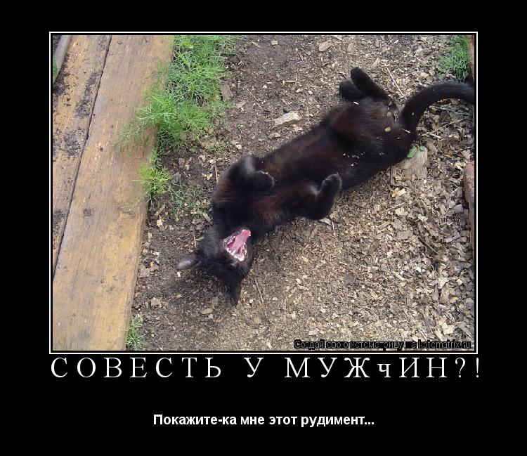Совесть у мужчин?! Покажите-ка мне этот рудимент...... Котоматрица: Совесть у мужчин?! Покажите-ка мне этот рудимент...