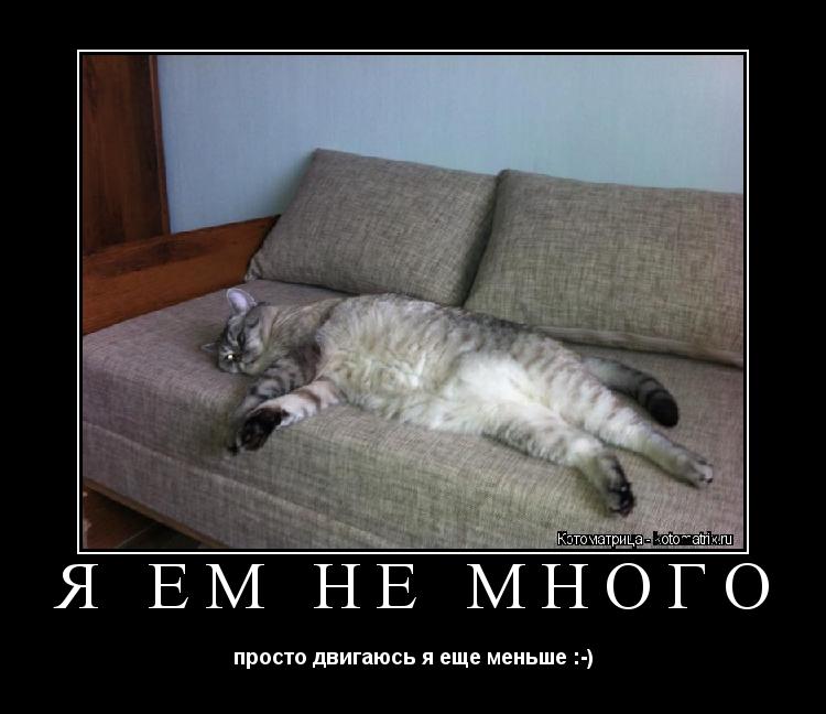 Я ем не много просто двигаюсь я еще меньше :-)... Котоматрица: Я ем не много просто двигаюсь я еще меньше :-)