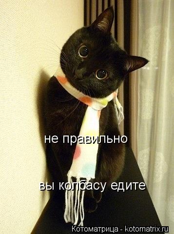 не правильно вы колбасу едите... Котоматрица: не правильно вы колбасу едите
