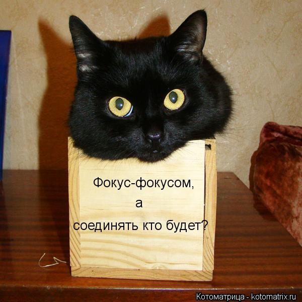 Фокус-фокусом, а соединять кто будет?... Котоматрица: Фокус-фокусом, а соединять кто будет?