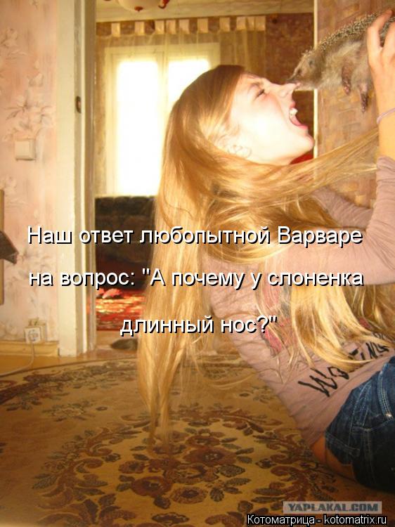 Наш ответ любопытной Варваре на вопрос: "А почему у слоненка длинный нос?"... Котоматрица: Наш ответ любопытной Варваре на вопрос: "А почему у слоненка длинный нос?"
