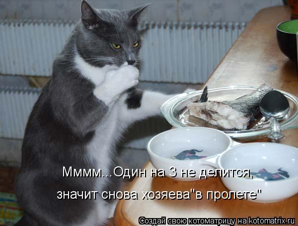 Мммм...Один на 3 не делится, значит снова хозяева"в пролете"... Котоматрица: Мммм...Один на 3 не делится, значит снова хозяева"в пролете"