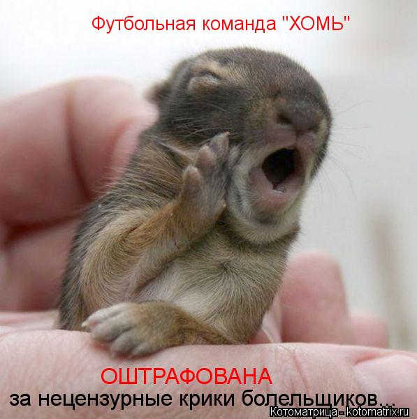 Футбольная команда "ХОМЬ" ОШТРАФОВАНА за нецензурные крики болельщиков...... Котоматрица: Футбольная команда "ХОМЬ" ОШТРАФОВАНА за нецензурные крики болельщиков...