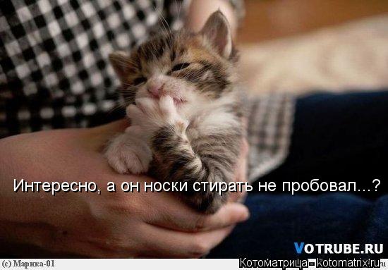 Интересно, а он носки стирать не пробовал...?... Котоматрица: Интересно, а он носки стирать не пробовал...?