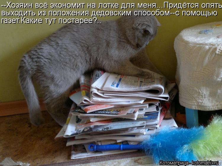--Хозяин всё экономит на лотке для меня...Придётся опять выходить из положения дедовским способом--с ... Котоматрица: --Хозяин всё экономит на лотке для меня...Придётся опять выходить из положения дедовским способом--с помощью газет.Какие тут постарее?..