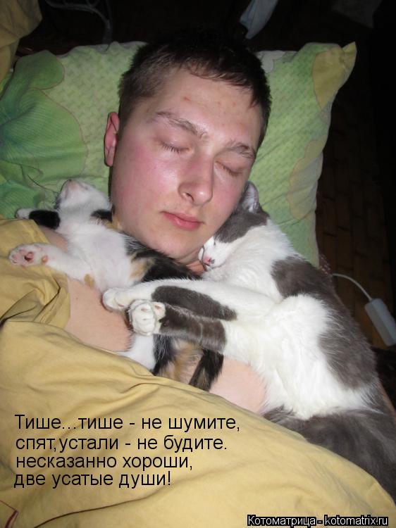 Тише...тише - не шумите, спят,устали - не будите. несказанно хороши, две усатые души!... Котоматрица: Тише...тише - не шумите, спят,устали - не будите. несказанно хороши, две усатые души!