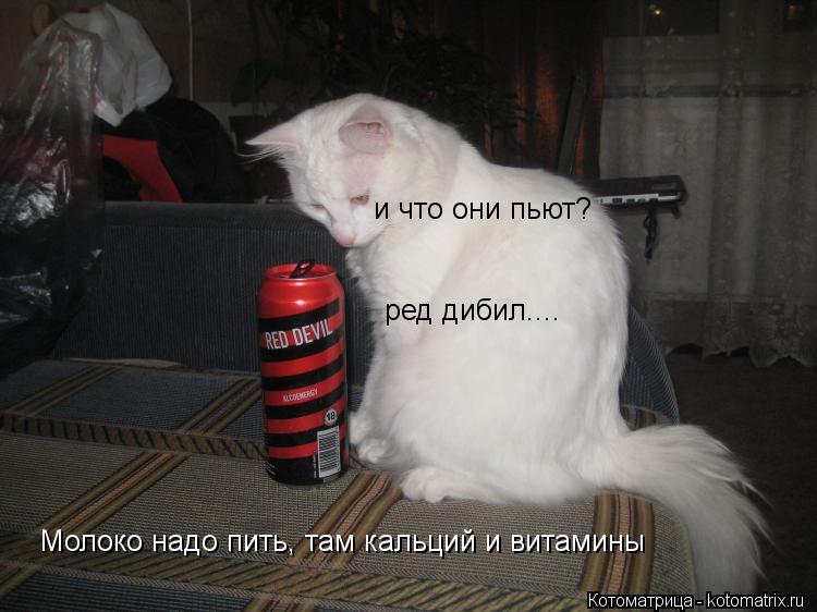 и что они пьют? ред дибил.... Молоко надо пить, там кальций и витамины... Котоматрица: и что они пьют? ред дибил.... Молоко надо пить, там кальций и витамины