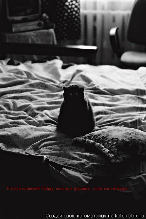 Котоматрица: Я такой одинокий! Пойду, полечу в деревню, съем кого нибудь!