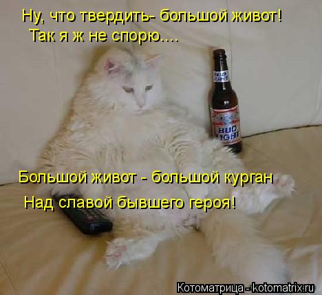 Ну, что твердить- большой живот! Так я ж не спорю.... Большой живот - большой курган Над славой бывше... Котоматрица: Ну, что твердить- большой живот! Так я ж не спорю.... Большой живот - большой курган Над славой бывшего героя!