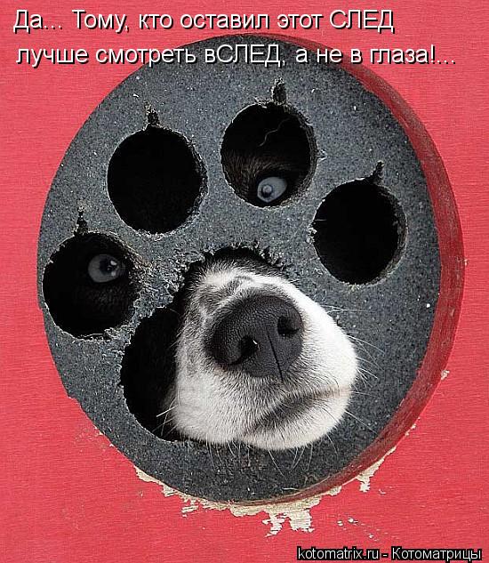 Да... Тому, кто оставил этот СЛЕД лучше смотреть вСЛЕД, а не в глаза!...... Котоматрица: Да... Тому, кто оставил этот СЛЕД лучше смотреть вСЛЕД, а не в глаза!...