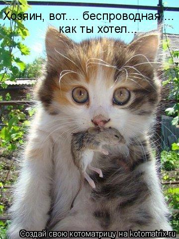 Хозяин, вот.... беспроводная.... как ты хотел...... Котоматрица: Хозяин, вот.... беспроводная.... как ты хотел...