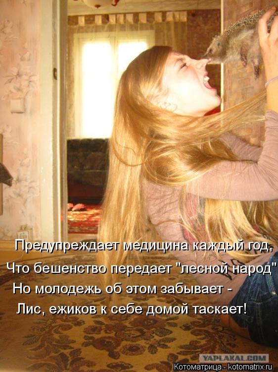 Предупреждает медицина каждый год, Что бешенство передает "лесной народ"! Но молодежь об этом забывае... Котоматрица: Предупреждает медицина каждый год, Что бешенство передает "лесной народ"! Но молодежь об этом забывает - Лис, ежиков к себе домой таскает!