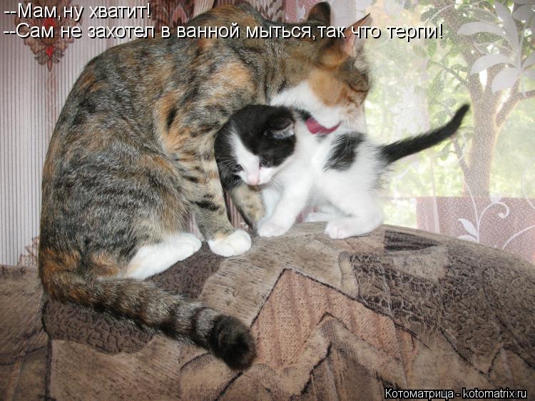 --Мам,ну хватит! --Сам не захотел в ванной мыться,так что терпи!... Котоматрица: --Мам,ну хватит! --Сам не захотел в ванной мыться,так что терпи!